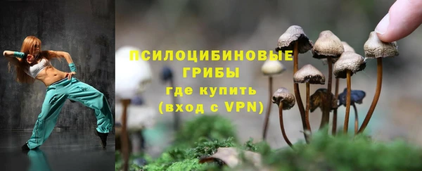 шишки Абдулино