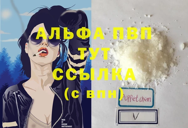 СК Абинск