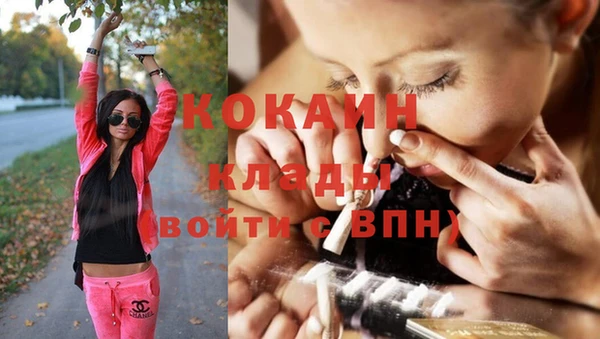 шишки Абдулино